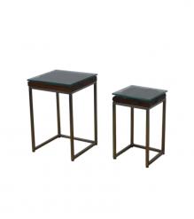 WDN+IRON COFFEE TABLE SET OF 2
