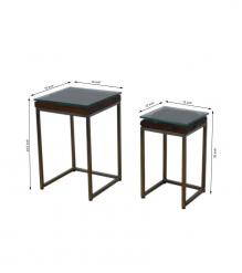 WDN+IRON COFFEE TABLE SET OF 2