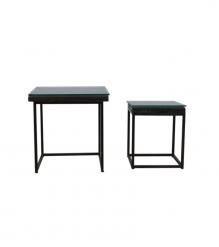 WDN+IRON COFFEE TABLE SET OF 2