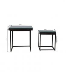 WDN+IRON COFFEE TABLE SET OF 2