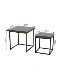 WDN+IRON COFFEE TABLE SET OF 2