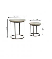 IRON COFFEE TABLE S/2