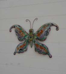 BUTTERFLYI