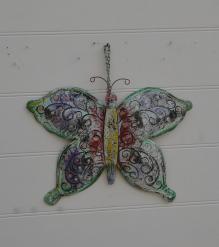BUTTERFLYI