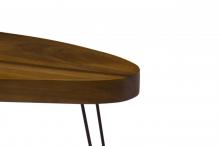 SOLID WOOD Elliptic end table
