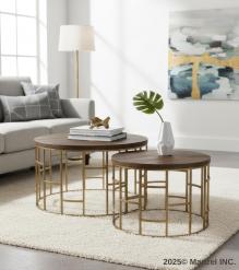 SET OF 2 SOLID WOOD & METAL COFFEE TABLES