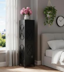 Solid Iron Storage Locker