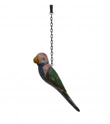 Hanging parrot