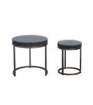 WDN+IRON  COFFEE TABLE SET OF 2