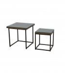 WDN+IRON COFFEE TABLE SET OF 2