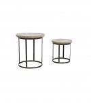 IRON COFFEE TABLE S/2