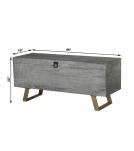 WOOD STORAGE TRUNK / COFFEE TABLE