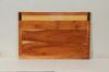 HAND CARVED SOLID PAINTED WOOD "FRESH CATCH DAILY" FISH PLAQUE