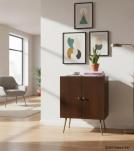 SOLID WOOD & IRON CABINET