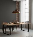 METAL PENDANT CEILING FIXTURE