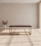 SOLID WOOD & IRON COFFEE TABLE