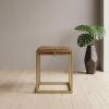SOLID WOOD & IRON END TABLE