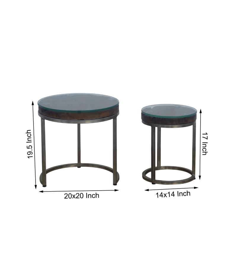 WDN+IRON  COFFEE TABLE SET OF 2