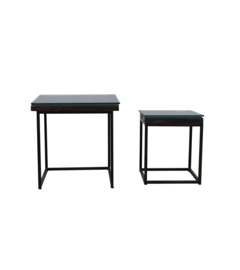 WDN+IRON COFFEE TABLE SET OF 2