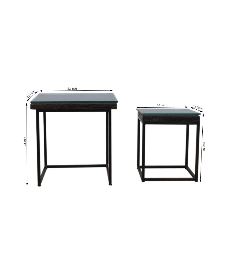 WDN+IRON COFFEE TABLE SET OF 2