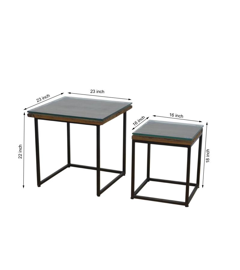 WDN+IRON COFFEE TABLE SET OF 2
