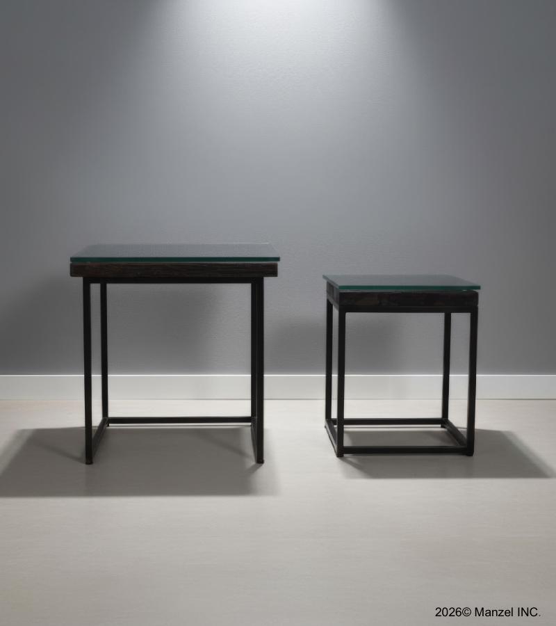 WDN+IRON COFFEE TABLE SET OF 2
