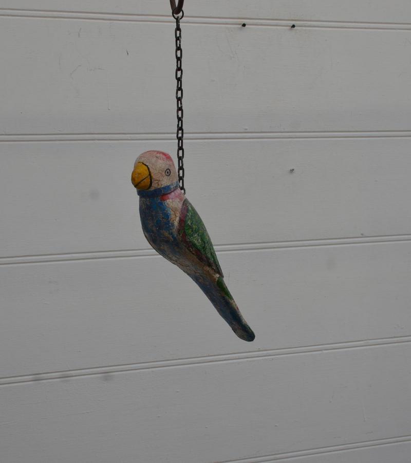 Hanging parrot