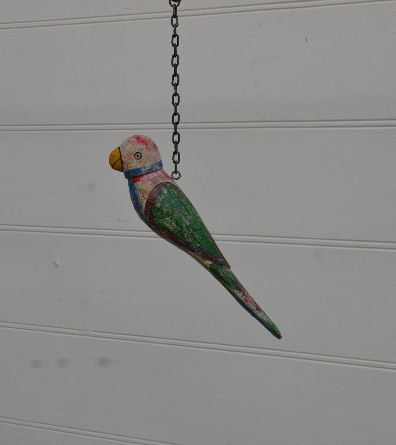 Hanging parrot