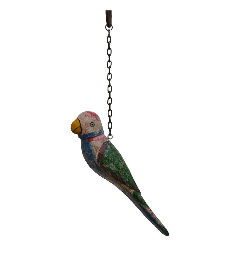 Hanging parrot