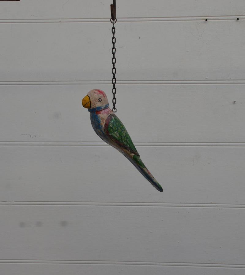 Hanging parrot