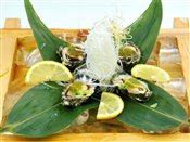 Kumamoto Oysters   $