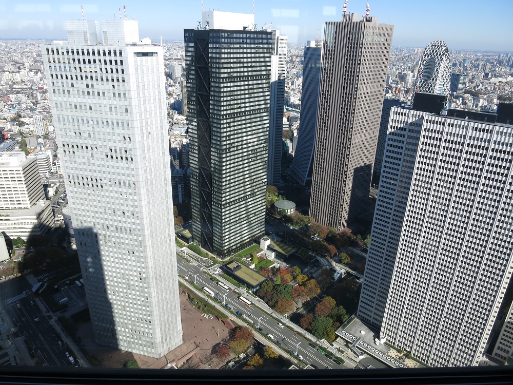 IMAGE: https://s3.amazonaws.com/MyBlackS3Bucket/images/IMG_0417.JPG