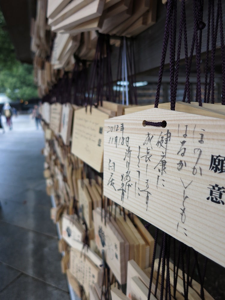 IMAGE: https://s3.amazonaws.com/MyBlackS3Bucket/images/IMG_0885.JPG