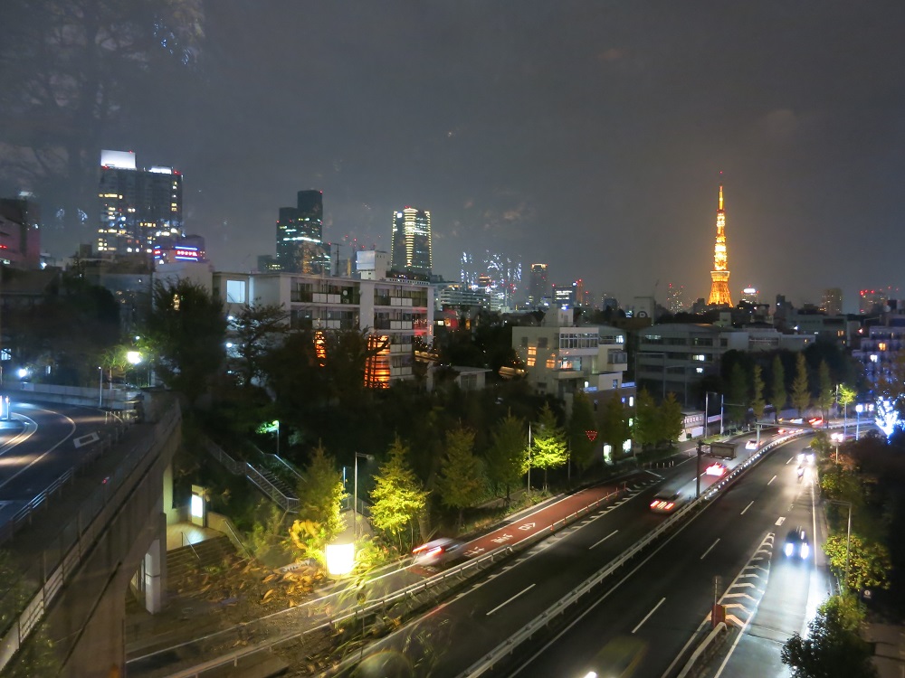 IMAGE: https://s3.amazonaws.com/MyBlackS3Bucket/images/IMG_0929.JPG