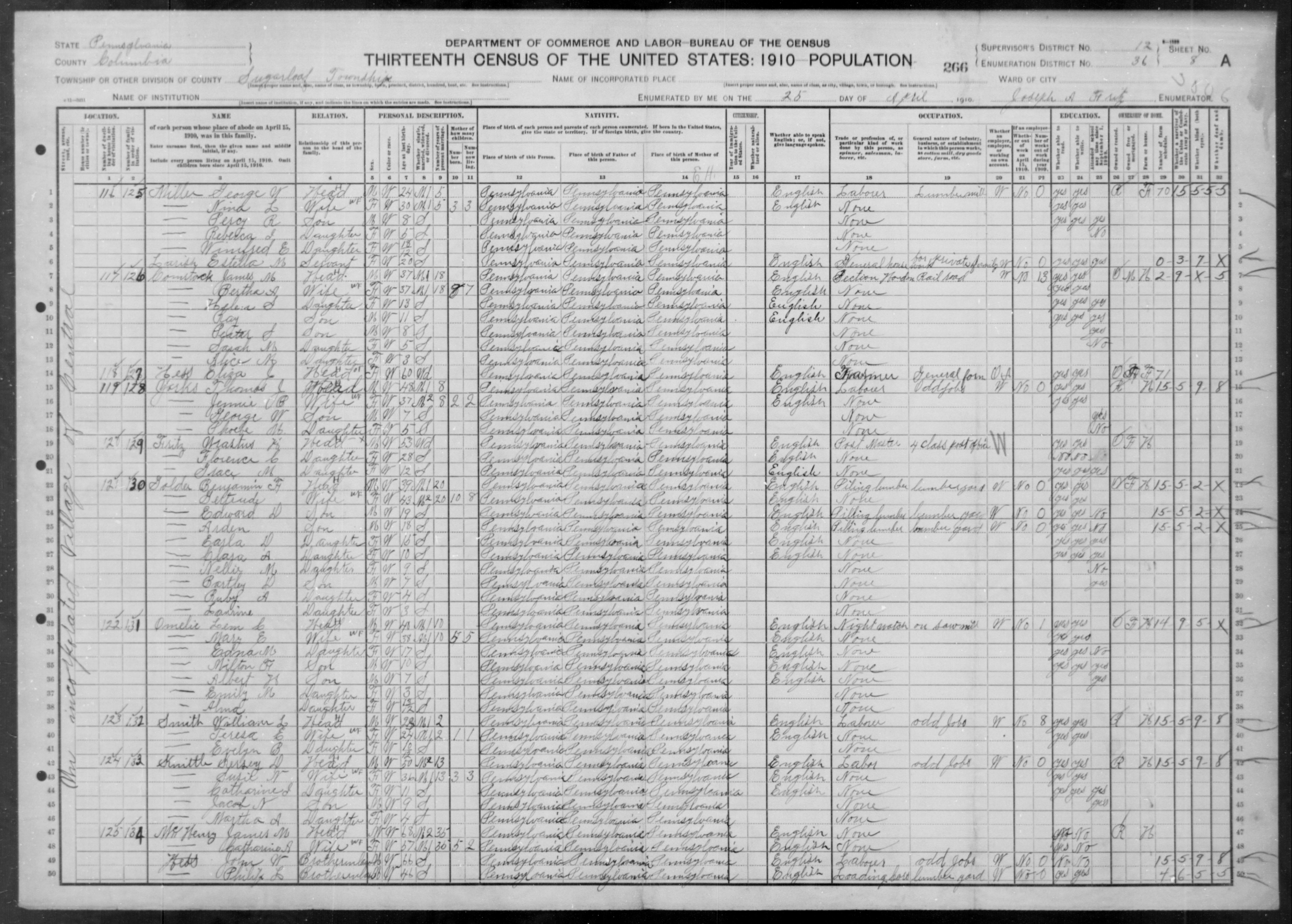 https://s3.amazonaws.com/NARAprodstorage/lz/microfilm-publications/T624-1910_Census/0001/T624_1334/T624_1334/images/1172.jpg