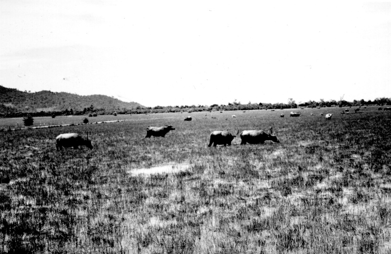 2014-2141