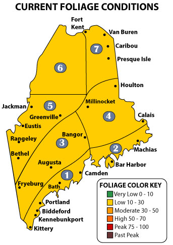 Maine foliage conditions week 4