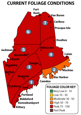 Maine foliage map week 6