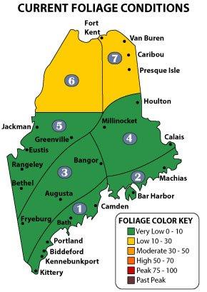 Maine foliage map