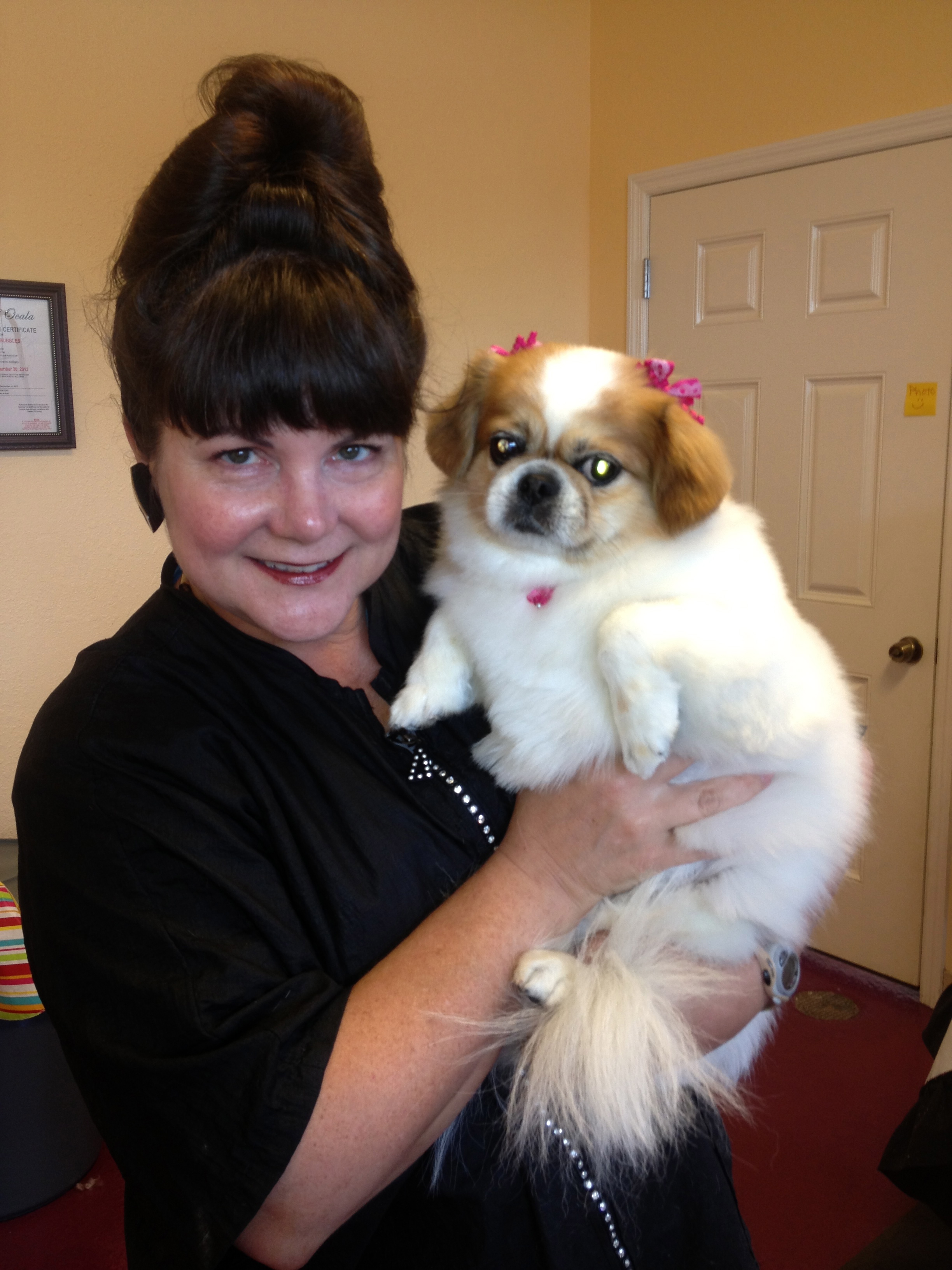 Doggy Bubbles Pet Grooming About Us