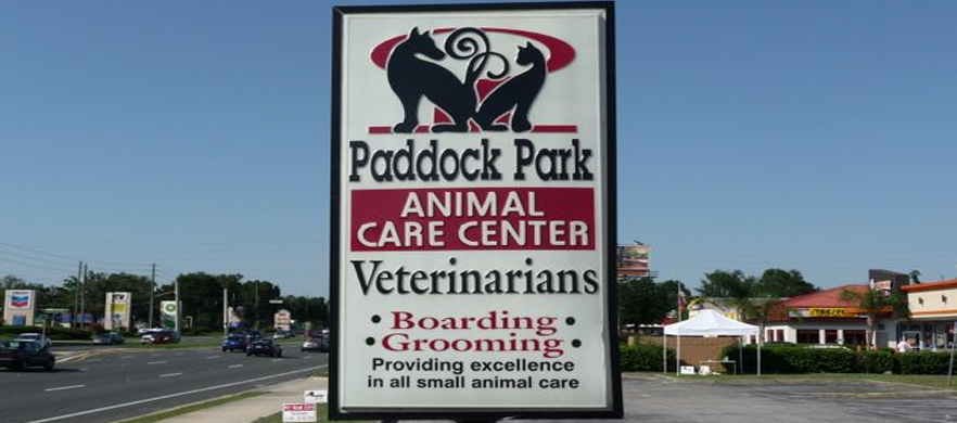 Doggy Bubbles Grooming and Boarding in Ocala