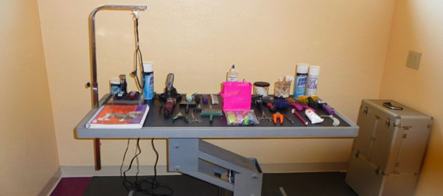 Doggy Bubbles Grooming and Boarding in Ocala