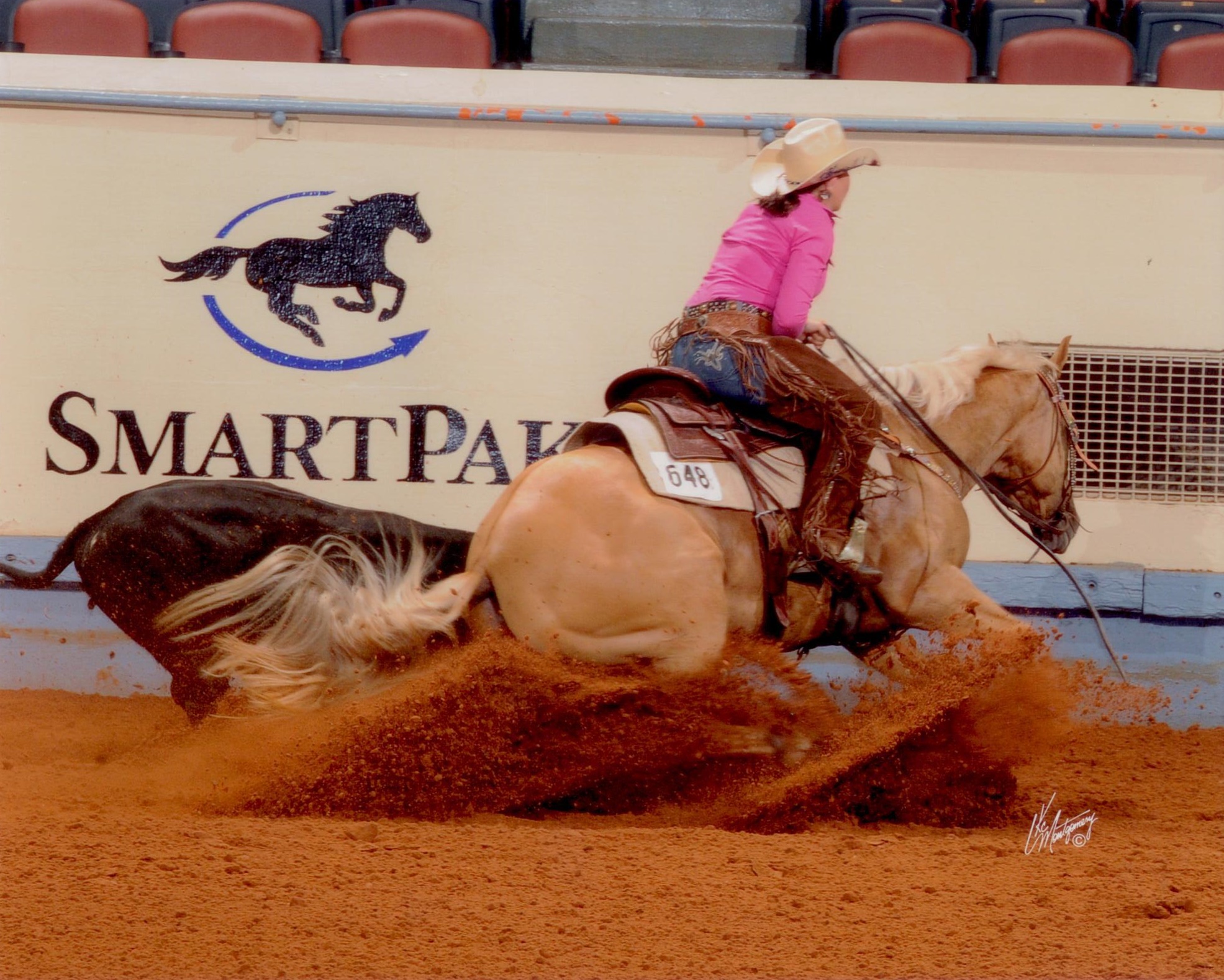 Dunbuds Comet AQHYA World Show
