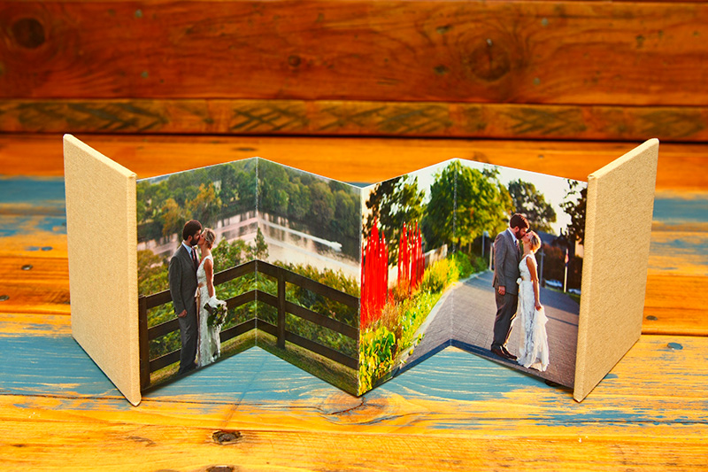 Accordion Photo Books Professional Mini Photo Books NPL