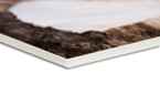foamcore mounting