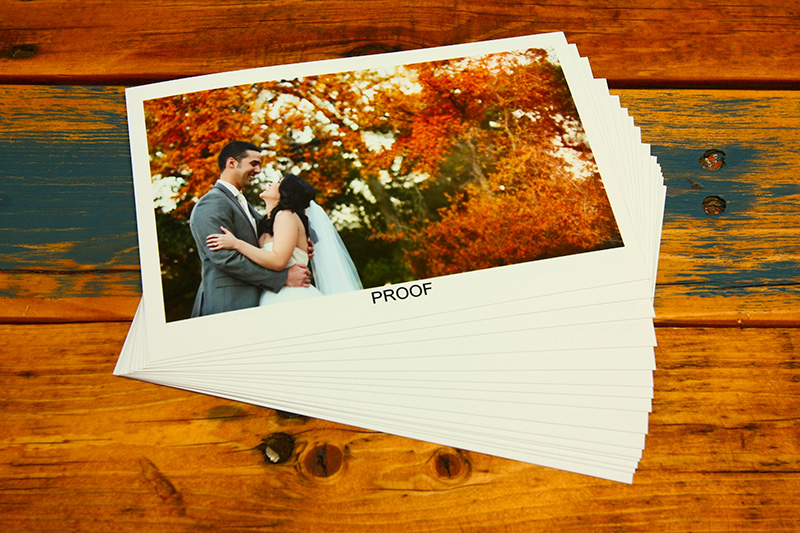 Proof Books Photo Proofing For Clients Nations Photo Lab