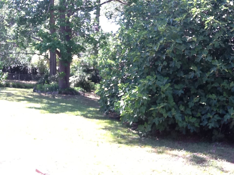 3615 Grier Ave, Columbus, GA, 31909