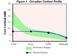 adrenal fatigue