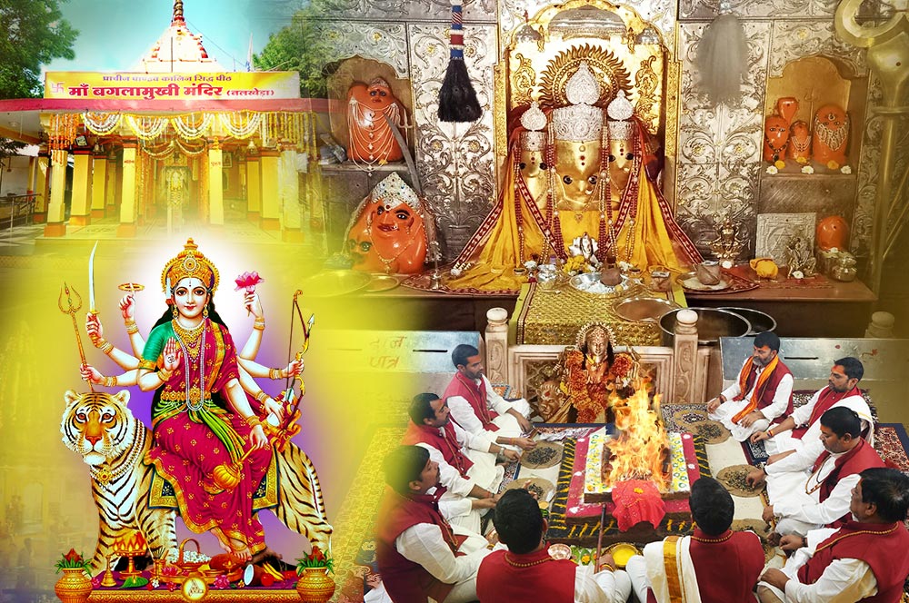 Sat Chandi Paath & Havan at Nalkheda Temple Ujjain Rudra Centre