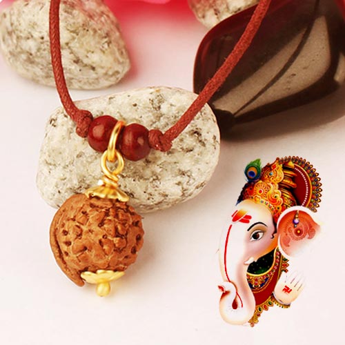 Ganesh Mukhi Rudraksha What is it, Benefits, Wearing Rules & Beej